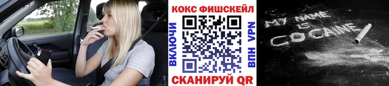 купить закладку  Славск  Cocaine Эквадор 
