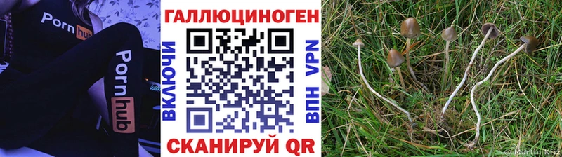 Псилоцибиновые грибы мицелий  мега вход  Славск 