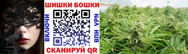 наркота  Славск  Каннабис сатива 